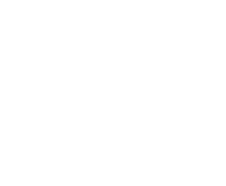 Bull